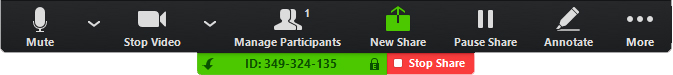 the Zoom screen share toolbar